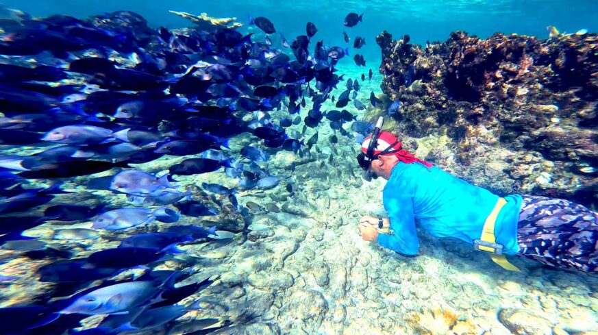 Snorkeling in Cueva de los Peces, Bay of Pigs, exploring vibrant marine life and historical sites.