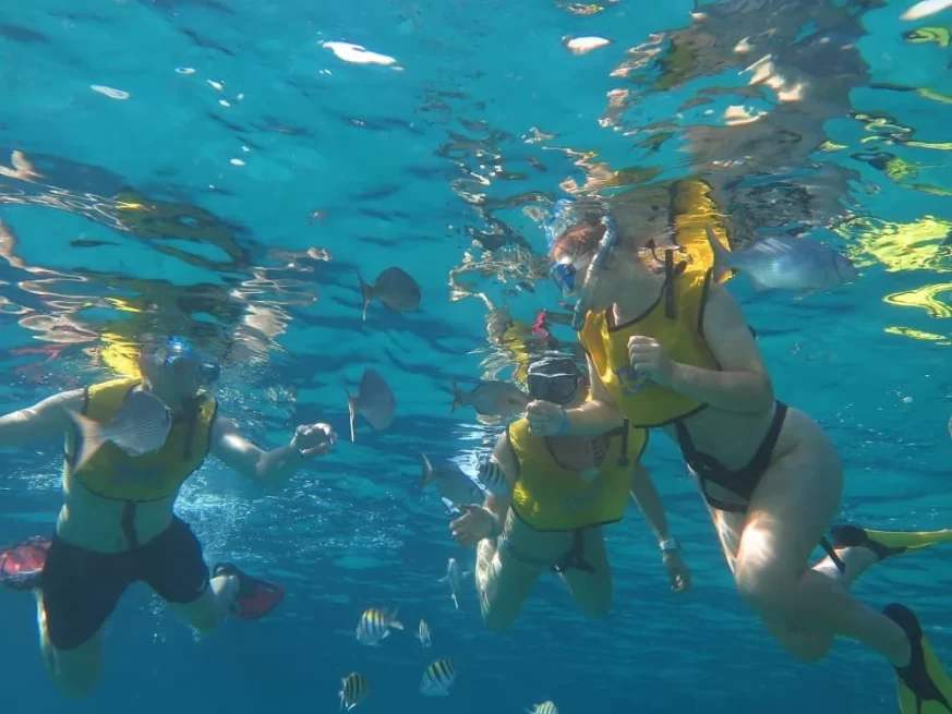 Varadero Snorkeling Tours with Scubalibre Varadero - Underwater Adventure